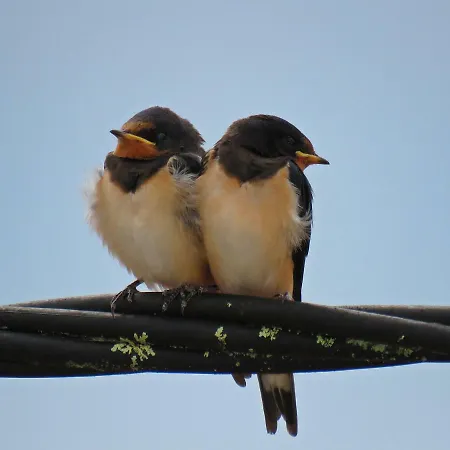 Casa Eira Do Povo Feriehus *